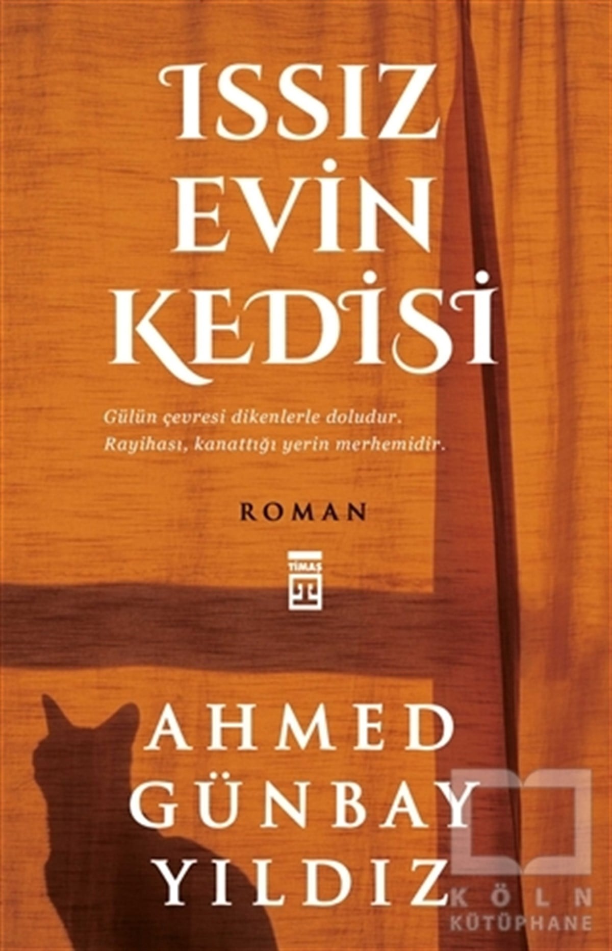 Ahmed Günbay YıldızRomanIssız Evin Kedisi