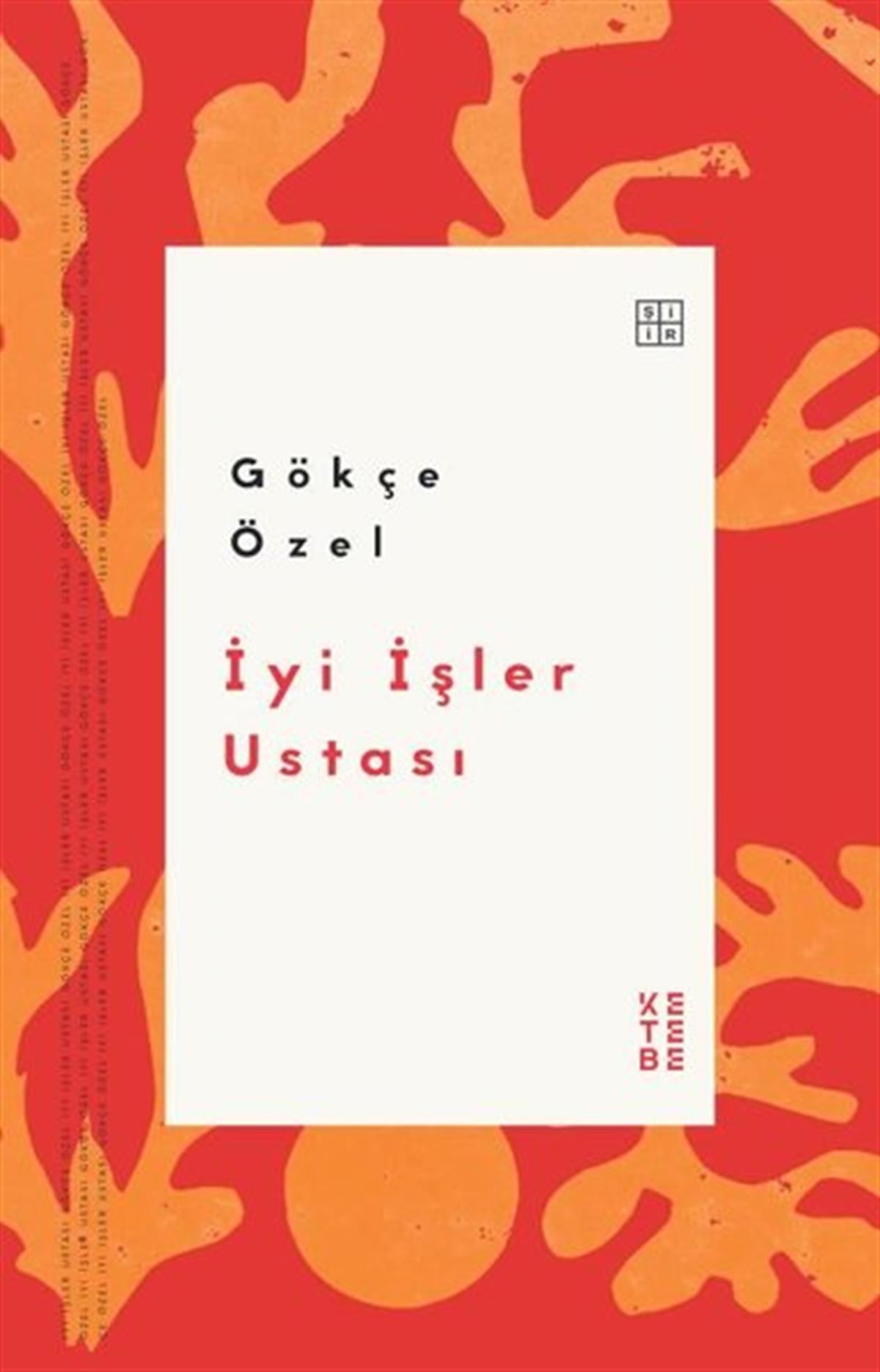 Gökçe ÖzelTürk Şiiriİyi İşler Ustası