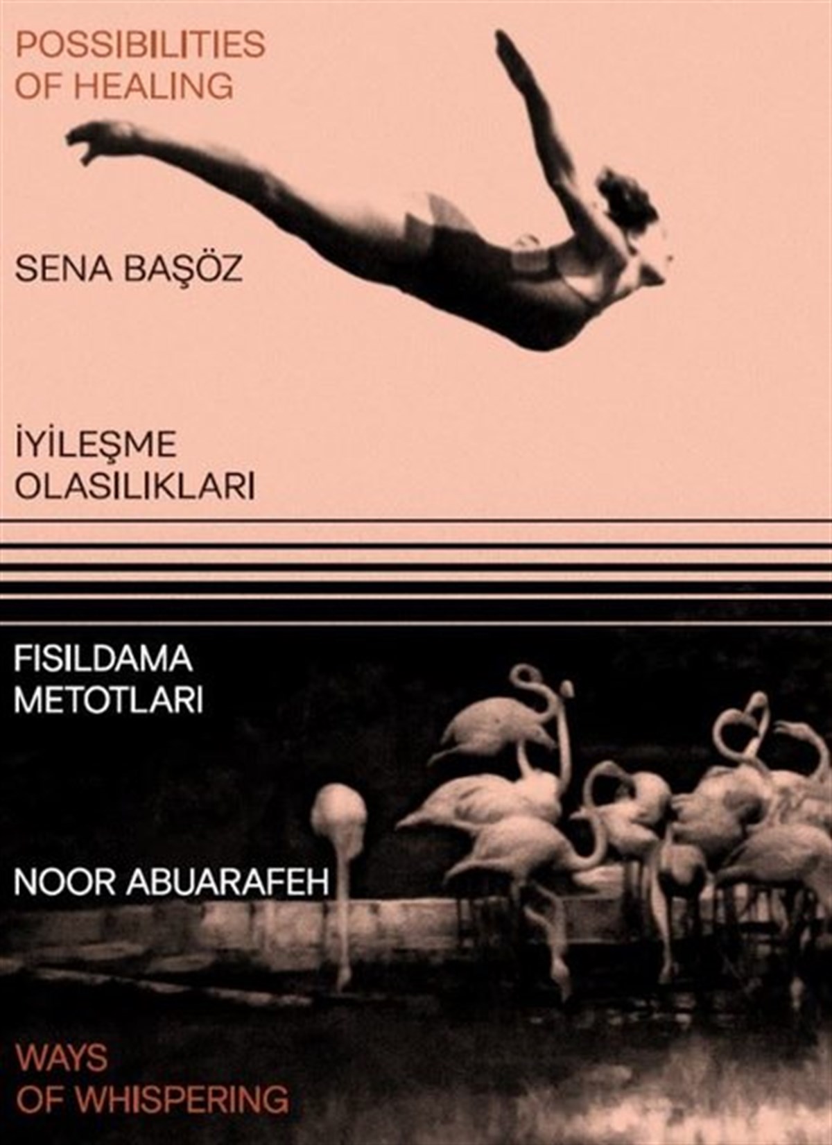 Noor AbuarafehKunsttheorie Bücherİyileşme Olasılıkları - Fısıldama Metotları