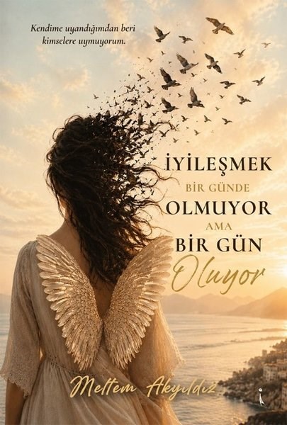 Meltem AkyıldızKişisel Gelişim Kitaplarıİyileşmek Bir Günde Olmuyor Ama Bir Gün Oluyor