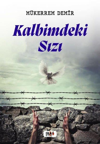 Mükerrem DemirAnı & Mektup & Günlük KitaplarıKalbimdeki Sızı