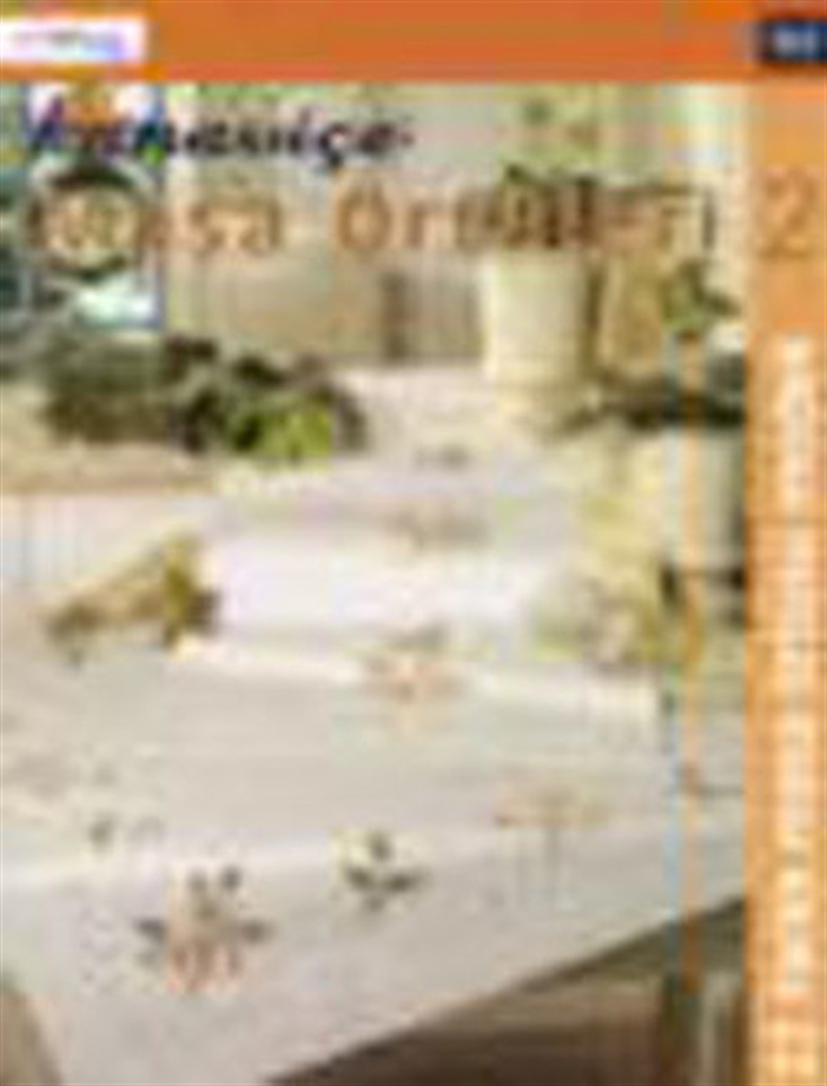 KolektifBastelbücherKanaviçe Masa Örtüleri 2