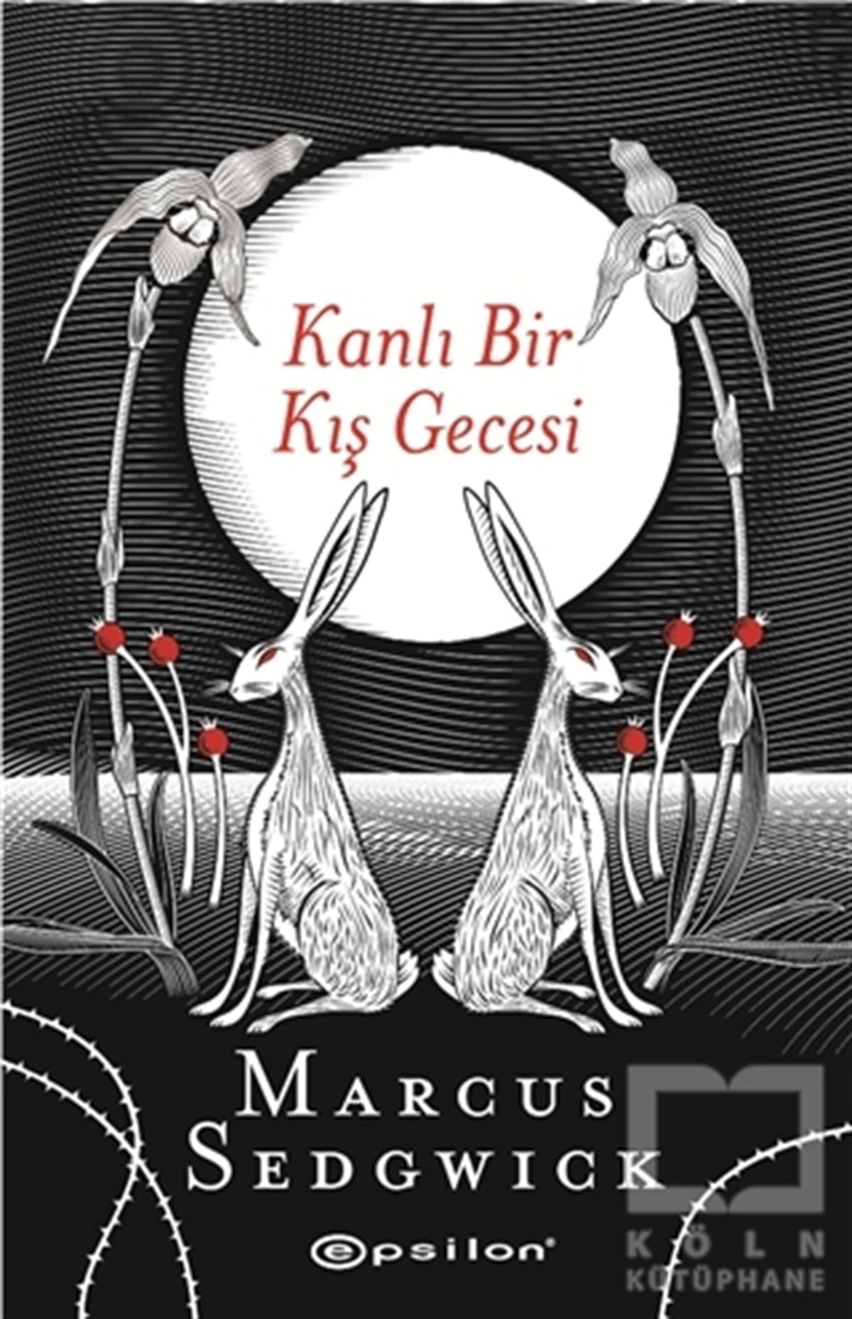 Marcus SedgwickRomanKanlı Bir Kış Gecesi
