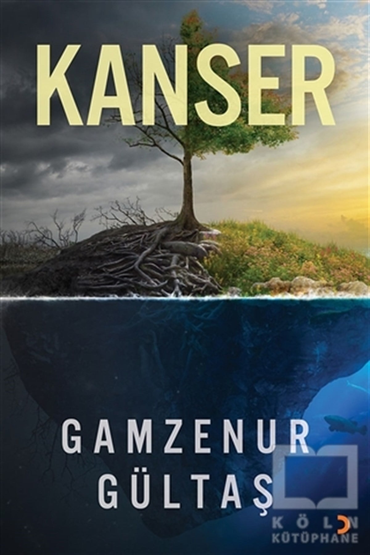 Kanser