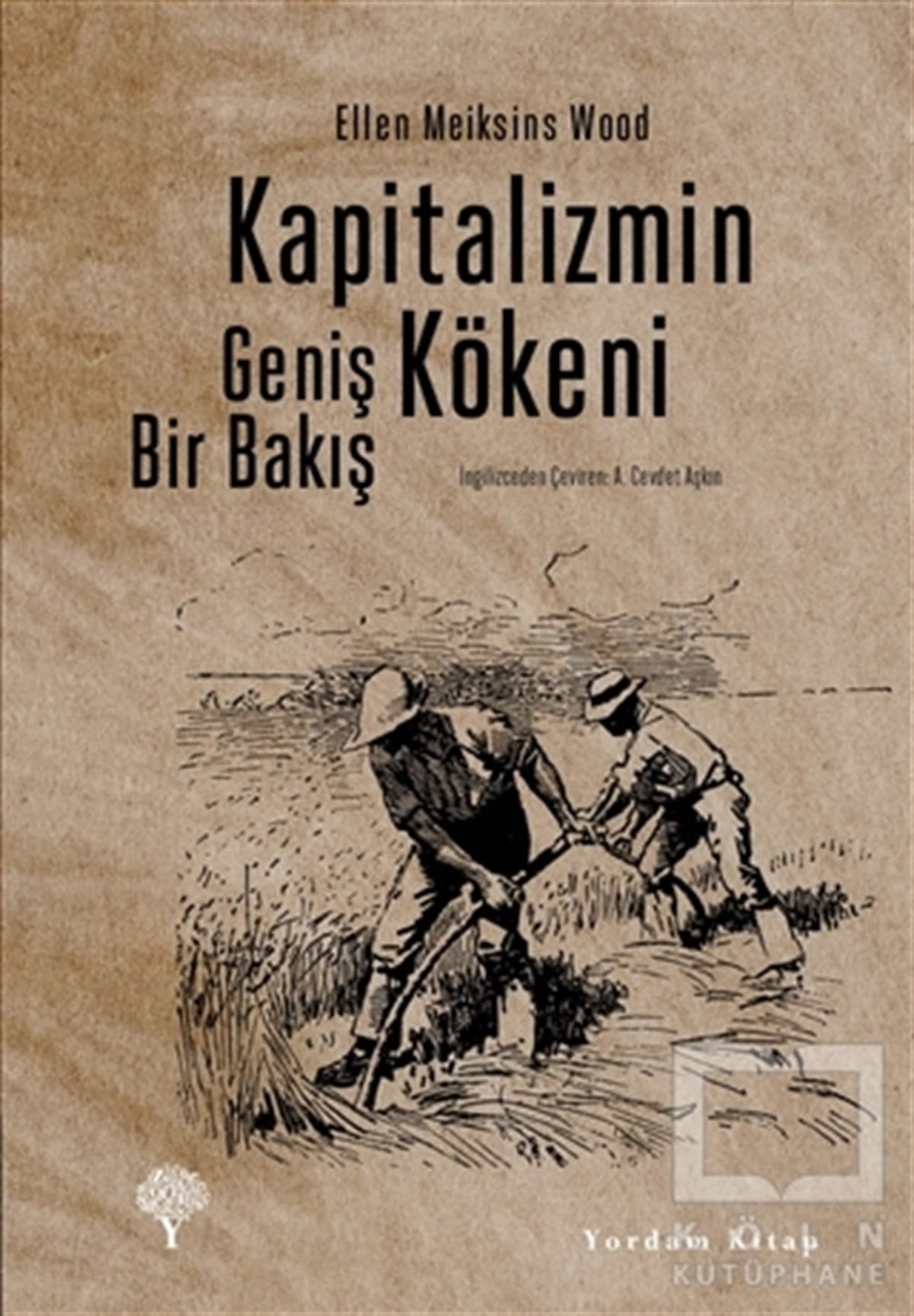 Ellen Meiksins WoodForschung & Untersuchung und NachschlagewerkeKapitalizmin Kökeni