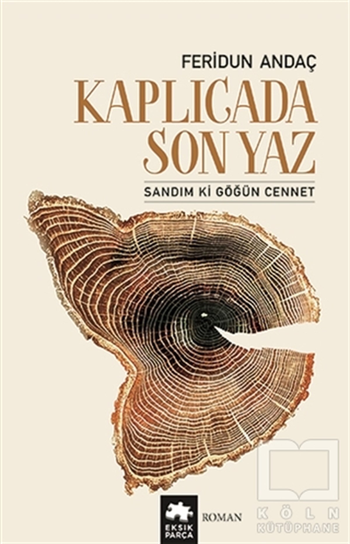 Feridun AndaçTürkçe RomanlarKaplıcada Son Yaz