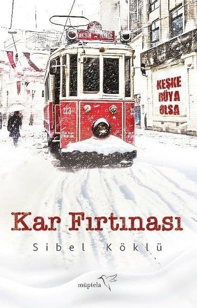 Sibel KöklüTürk RomaniKar Fırtınası