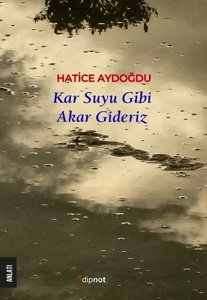 Hatice AydoğduErzählbücherKar Suyu Gibi Akar Gideriz