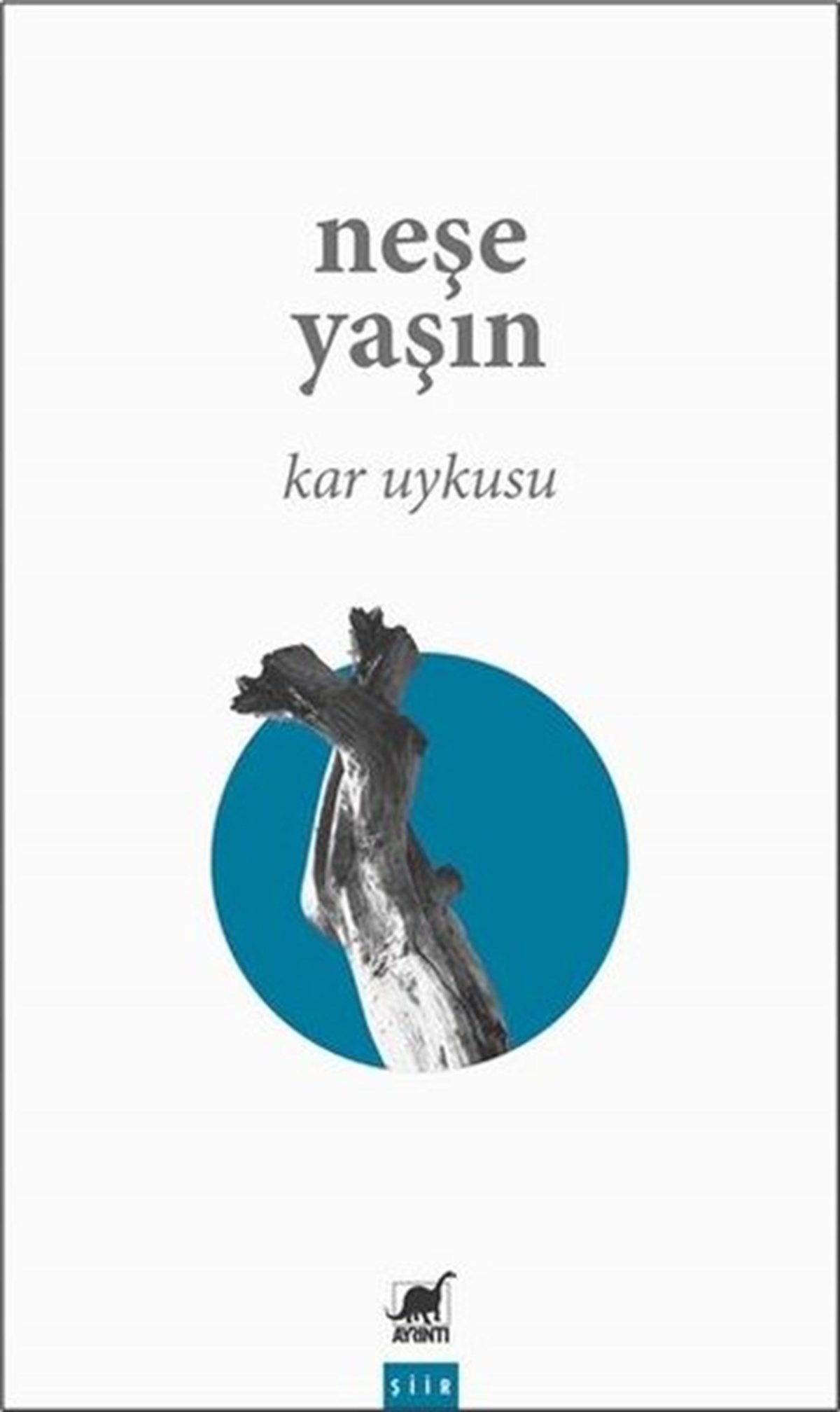Neşe YaşınTürk ŞiiriKar Uykusu