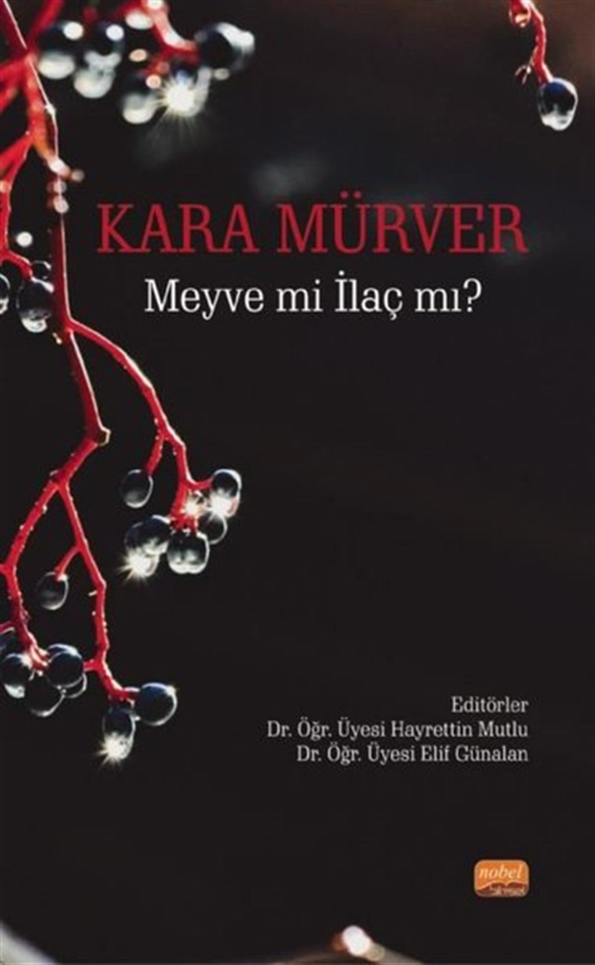 KolektifEğitimKara Mürver: Meyve mi İlaç mı?