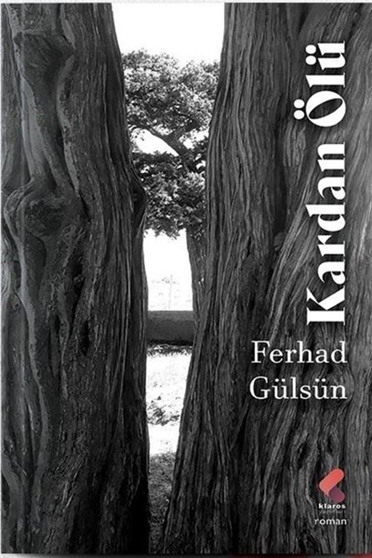 Ferhad GülsünTürkiye RomanKardan Ölü