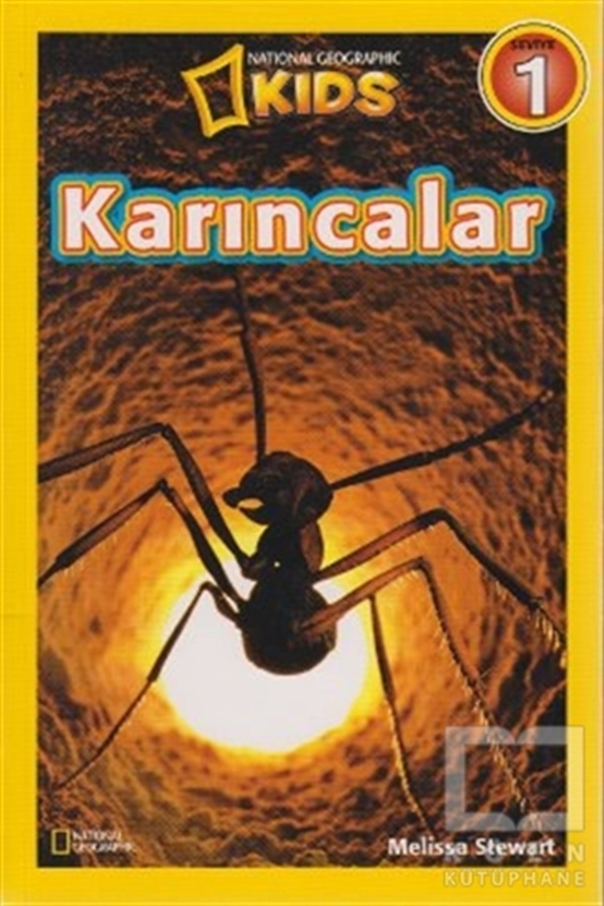 Melissa StewartDiğerKarıncalar - Seviye 1