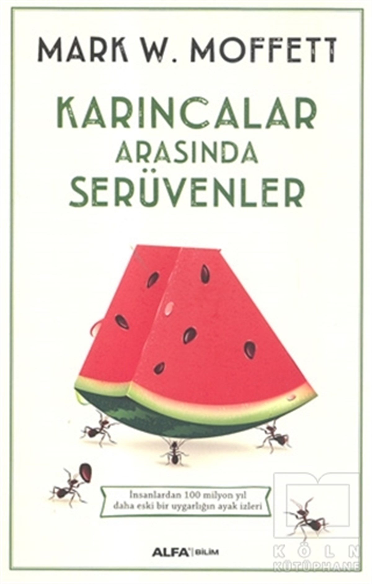Karıncalar Arasında Serüvenler