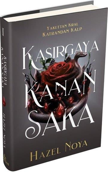 Hazel NoyaTürk RomaniKasırgaya Kanan Saka 1