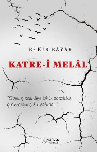 Bekir BayarTürk ŞiiriKatre-i Melal