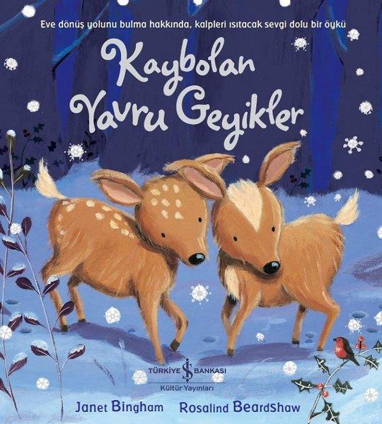 Janet BinghamEgitim Etkinlik KitaplariKaybolan Yavru Geyikler
