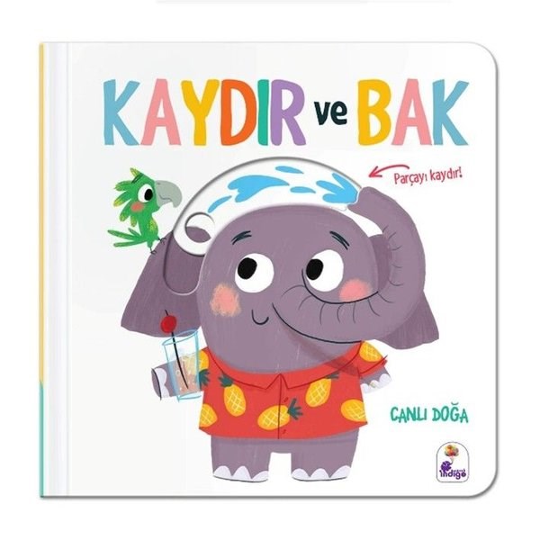 KolektifEgitim Etkinlik KitaplariKaydır ve Bak - Canlı Doğa