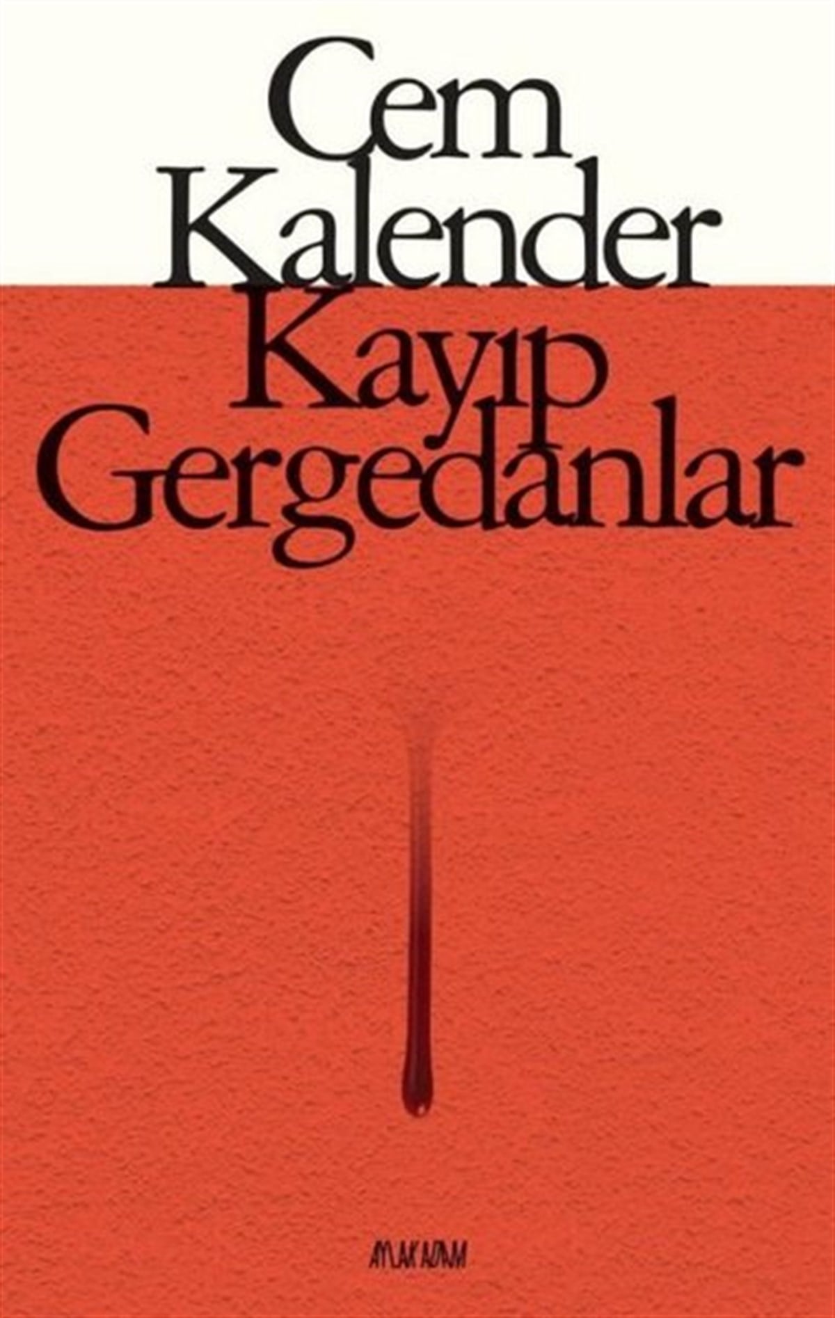 Cem KalenderTürkiye RomanKayıp Gergedanlar