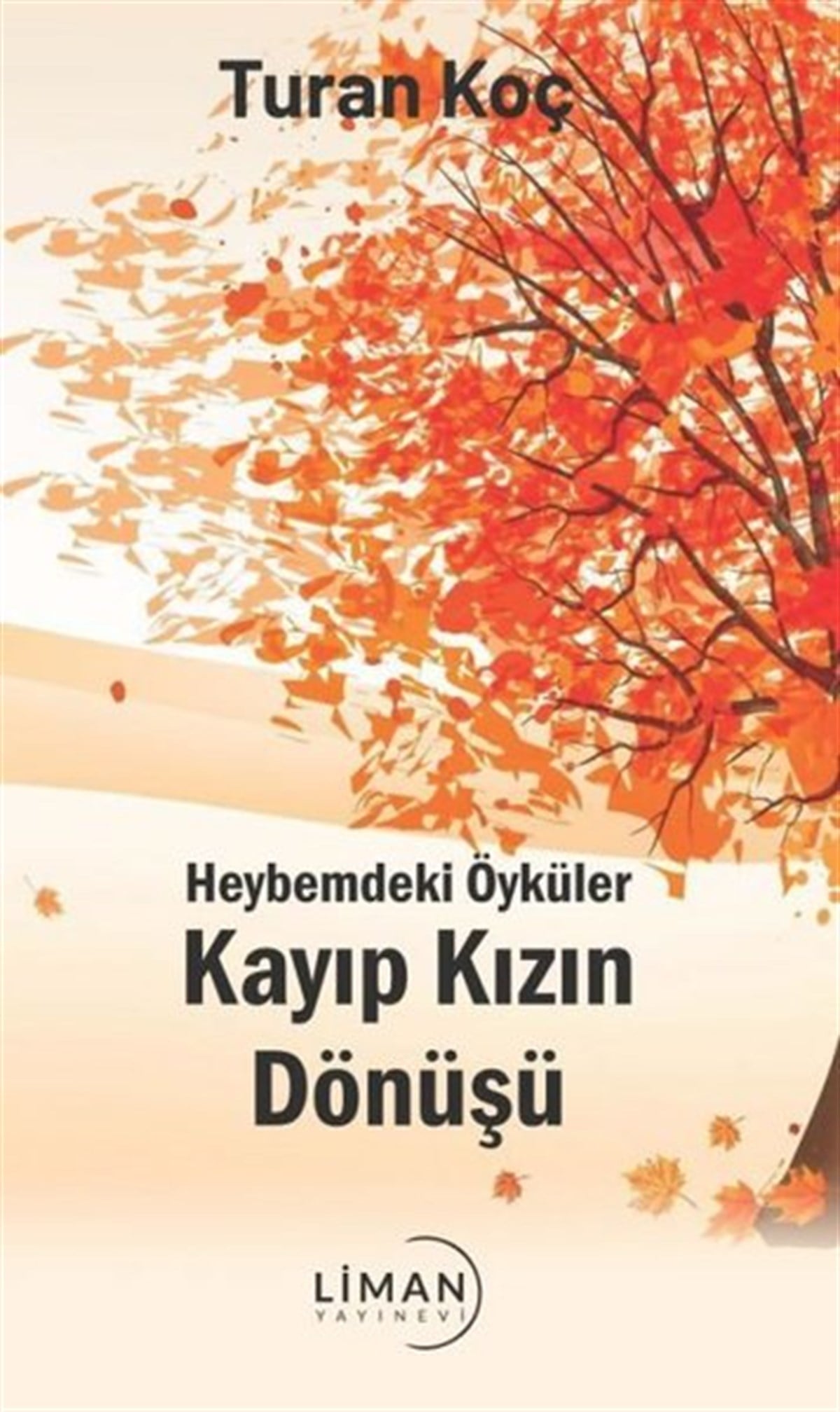 Turan KoçTürkiye RomanKayıp Kızın Dönüşü - Heybemdeki Öyküler
