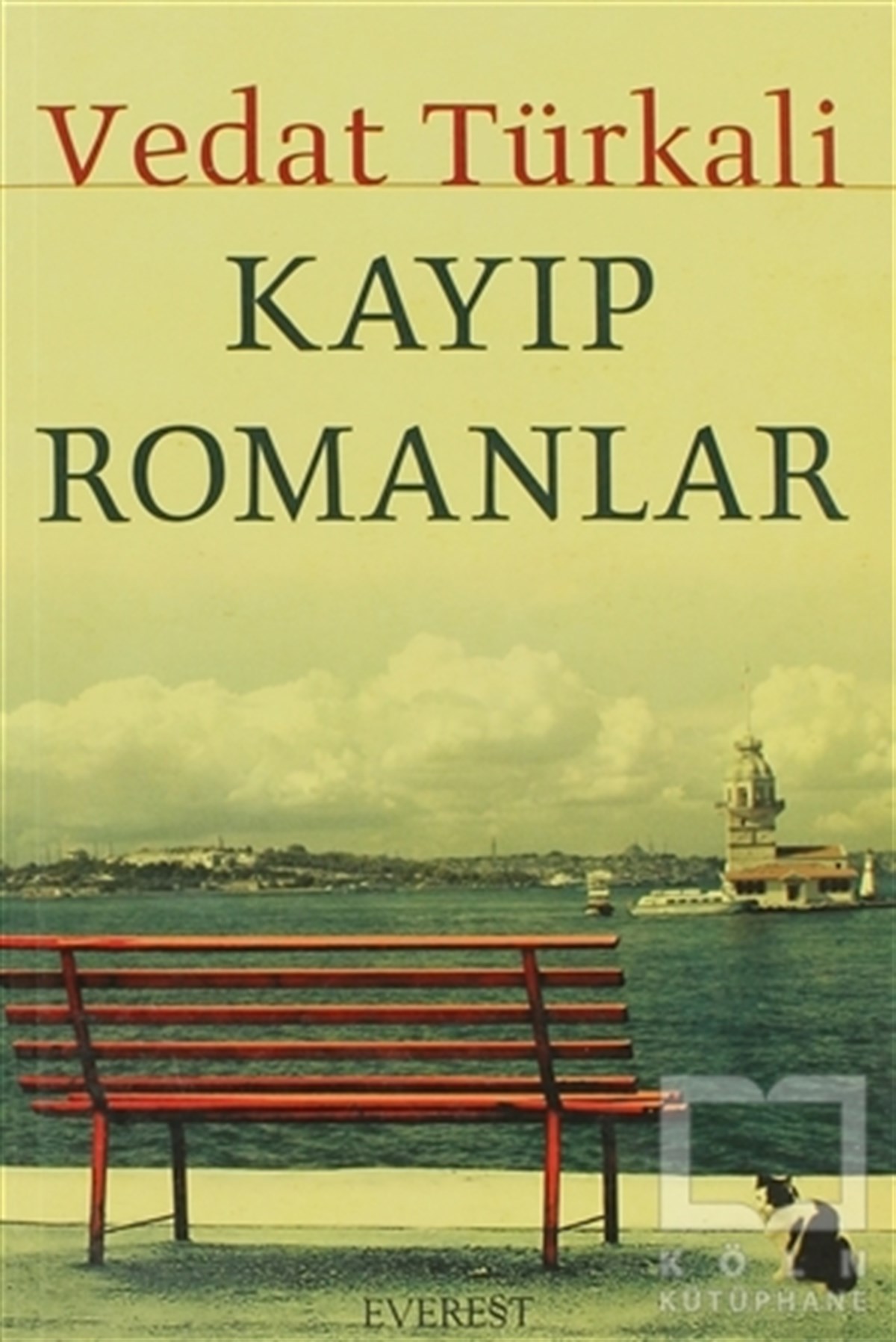 Kayıp Romanlar