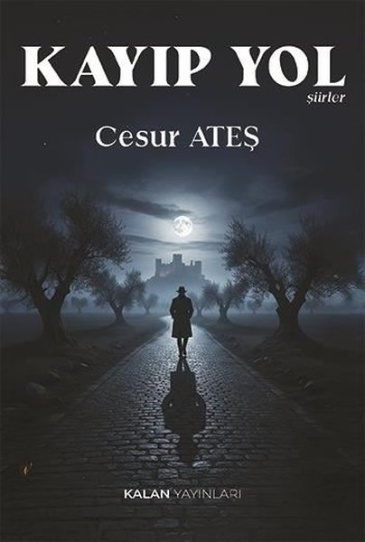 Cesur AteşTürk ŞiiriKayıp Yol - Şiirler