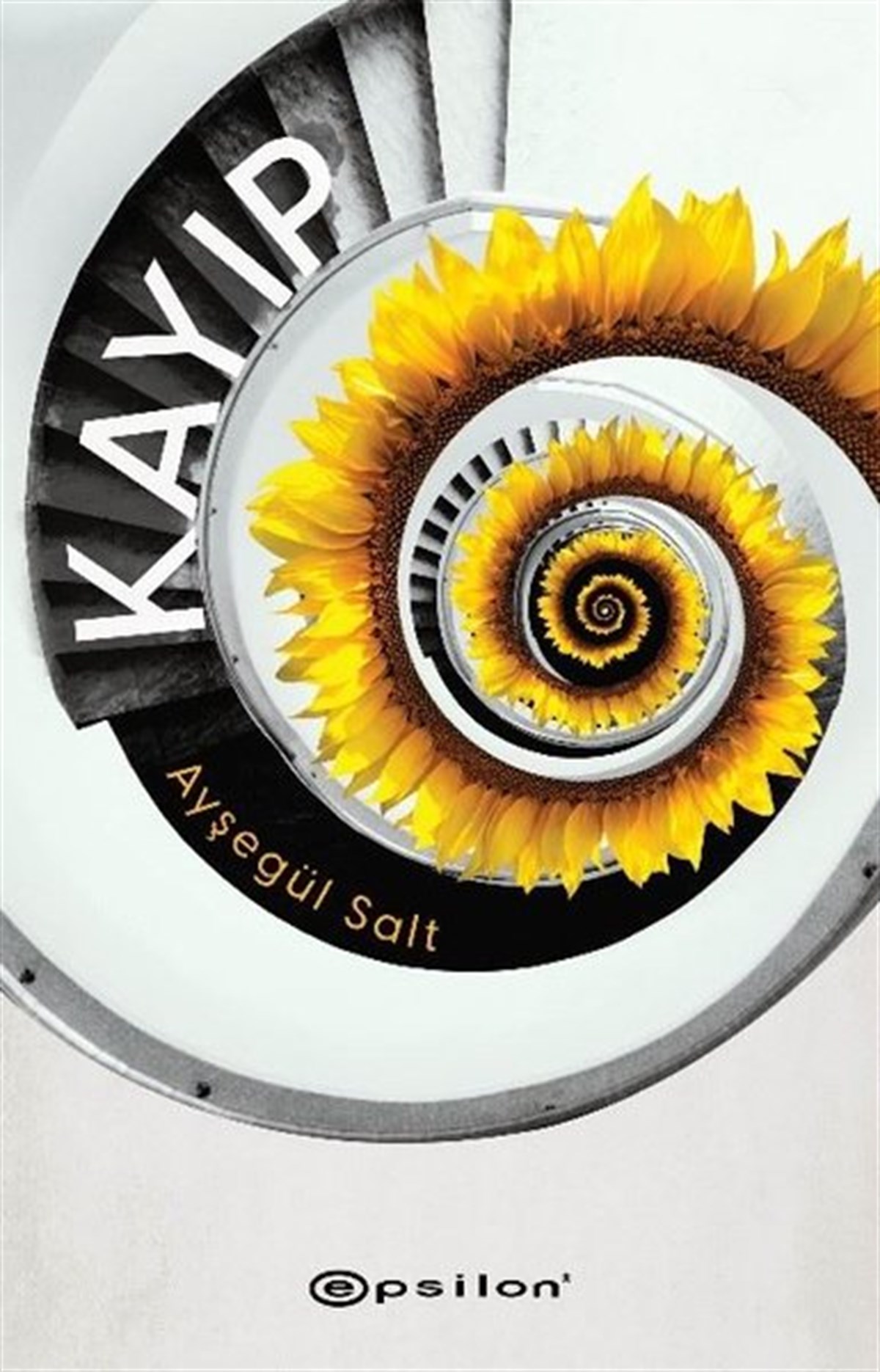 Ayşegül SaltTürkiye RomanKayıp