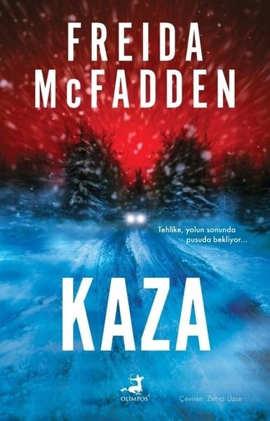Freida McfaddenKorku Kitapları & Gerilim KitaplarıKaza