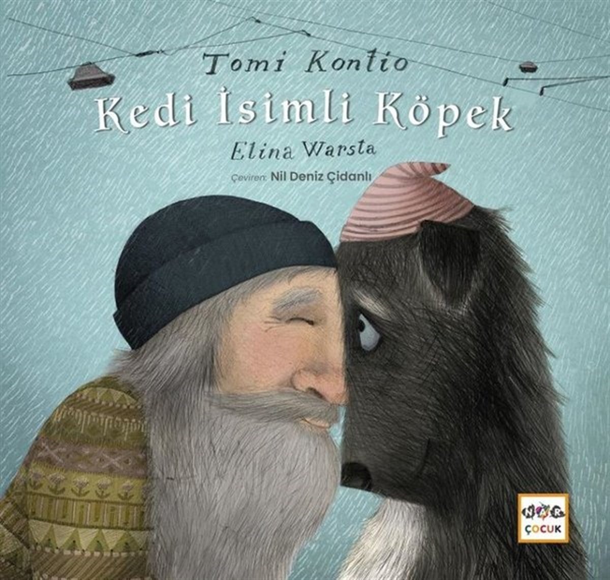 Tomi KontioEgitim Etkinlik KitaplariKedi İsimli Köpek