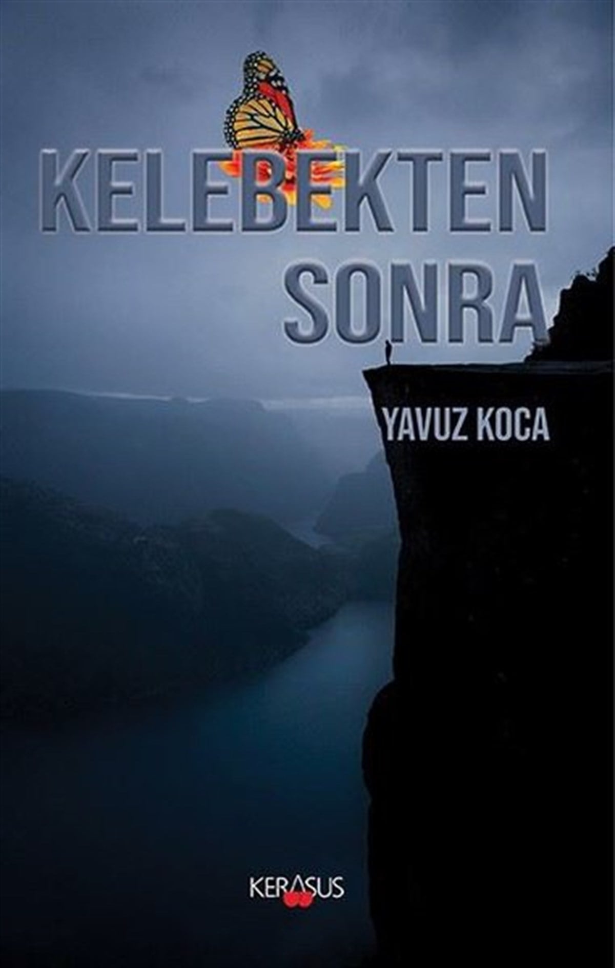 Yavuz KocaTürkiye RomanKelebekten Sonra