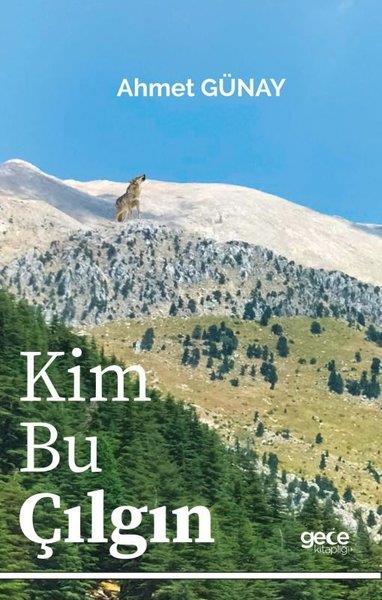 Ahmet GünayDeneme KitaplarıKim Bu Çılgın