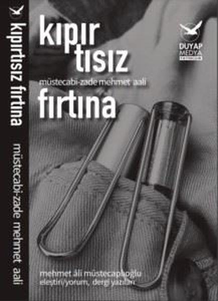 Mehmet Ali MüstecaplıoğluEssay BücherKıpırtısız Fırtına
