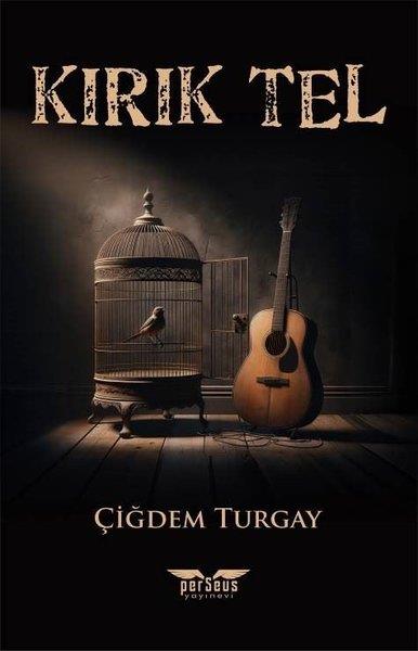 Çiğdem TurgayTürkiye RomanKırık Tel