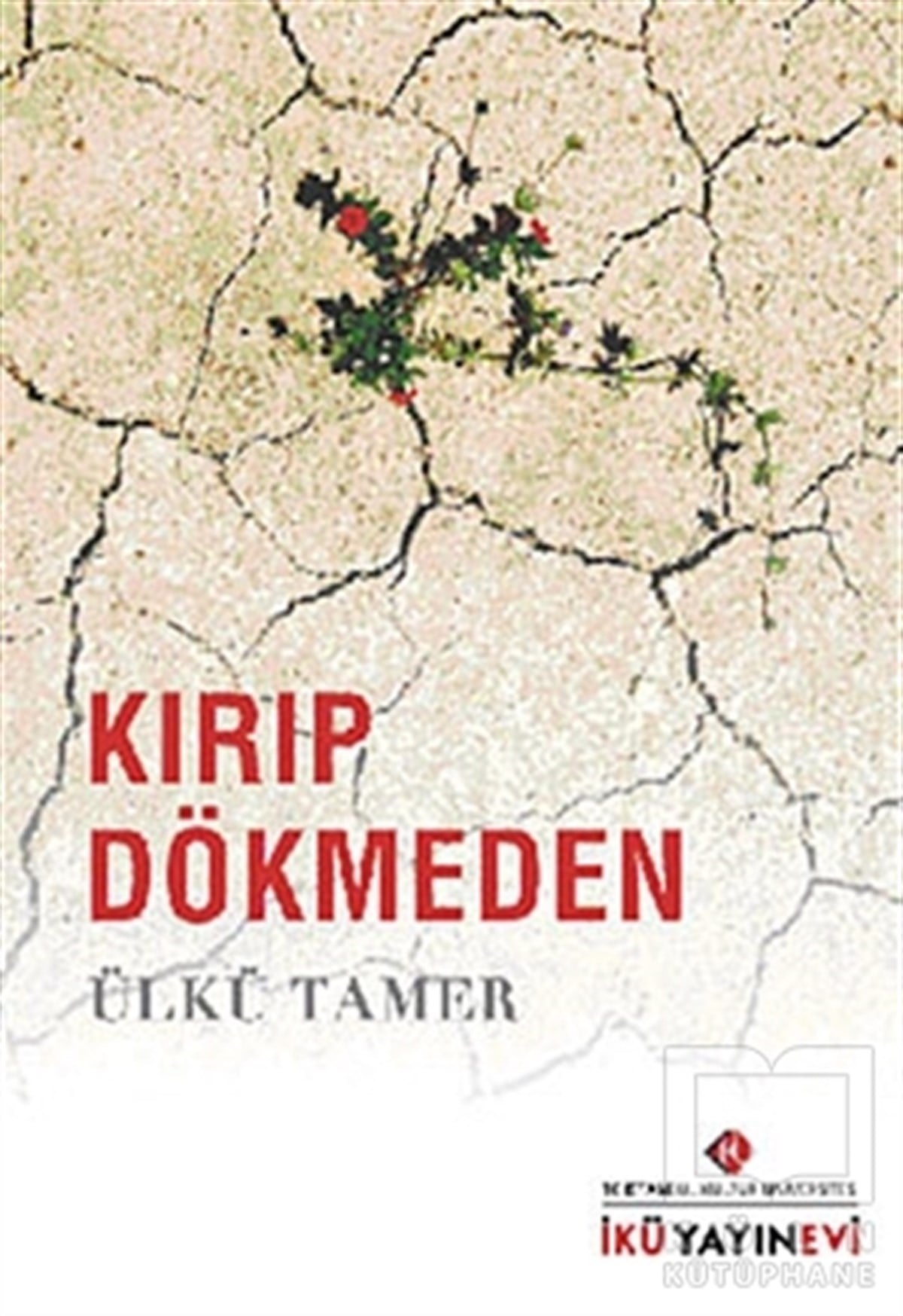 Ülkü TamerDiğerKırıp Dökmeden