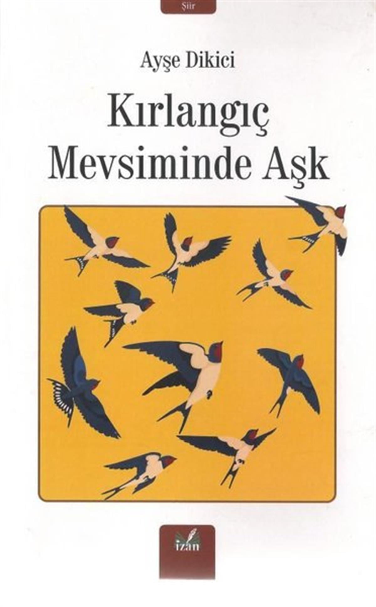 Ayşe DikiciTürk ŞiiriKırlangıç Mevsiminde Aşk
