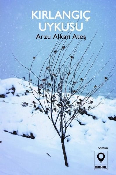 Arzu Alkan AteşTürk RomaniKırlangıç Uykusu