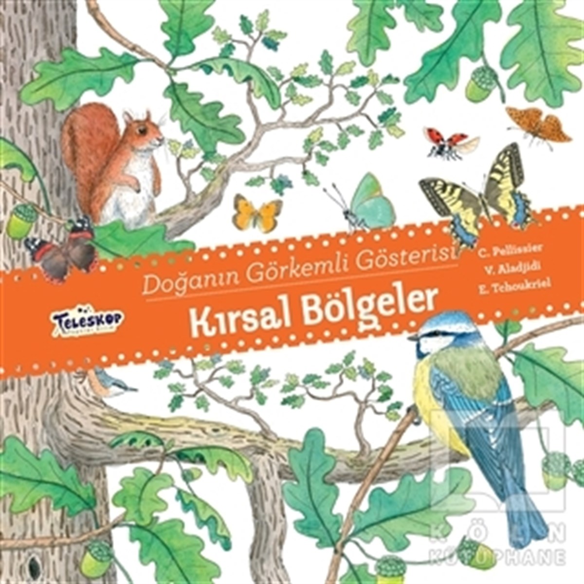 Doğanın Görkemli Gösterisi - Kırsal Bölgeler