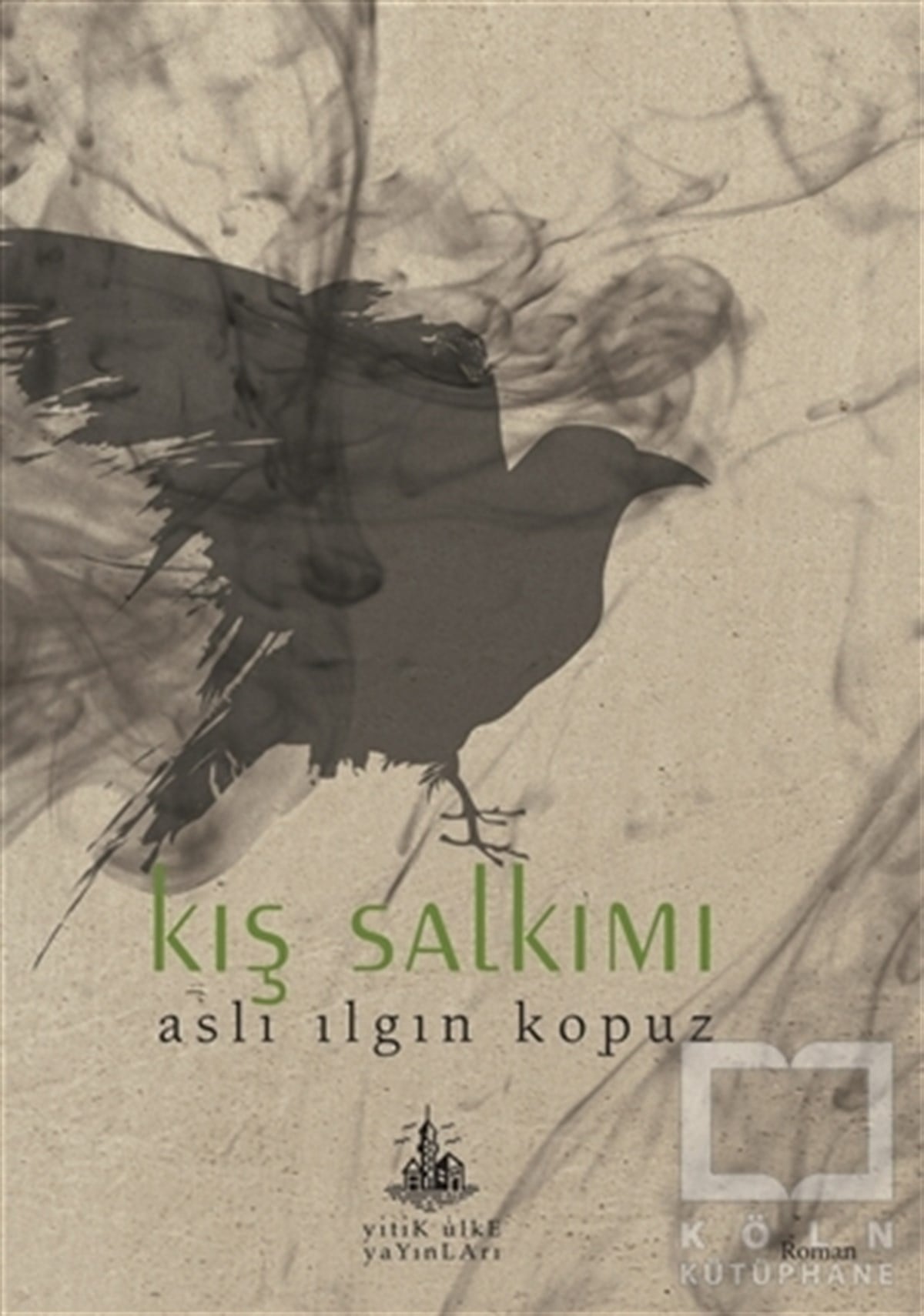 Aslı Ilgın KopuzRomanKış Salkımı