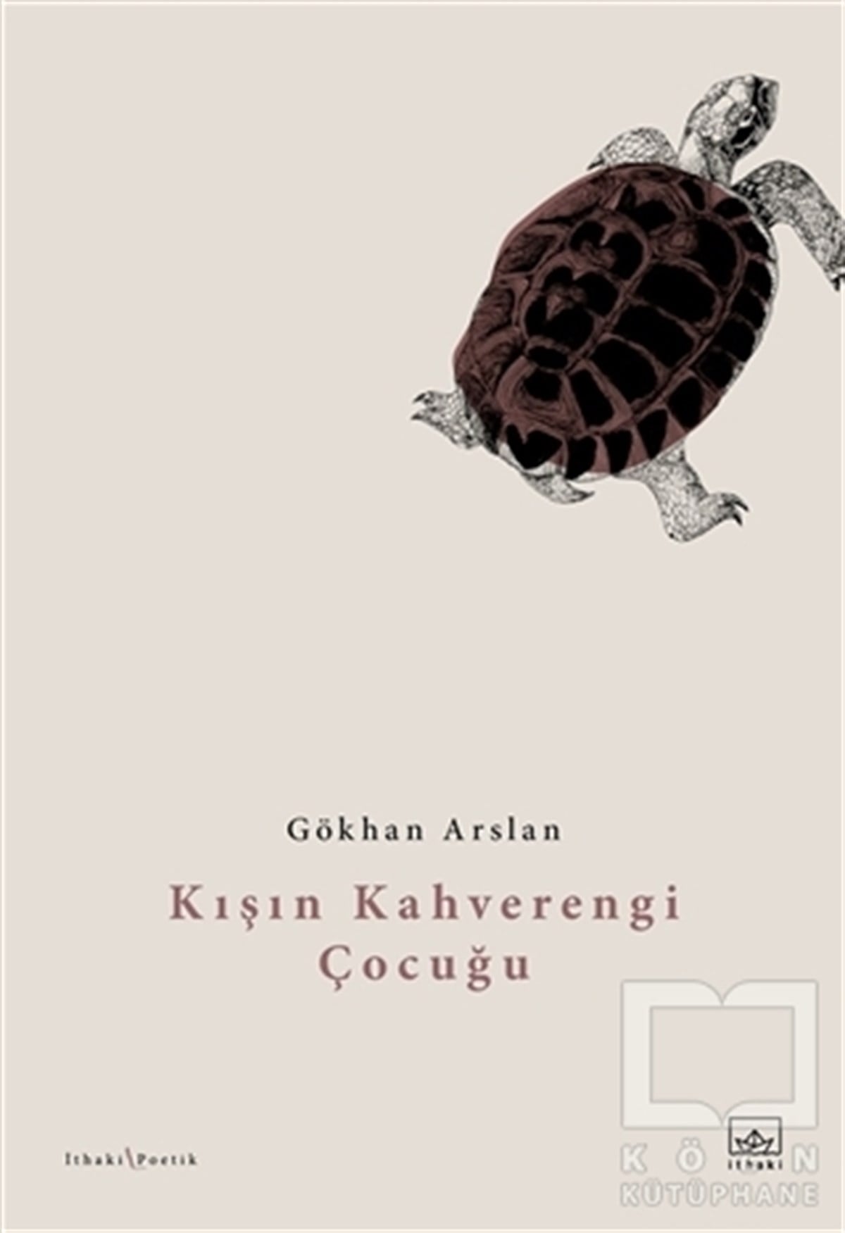 Gökhan ArslanTürkçe Şiir KitaplarıKışın Kahverengi Çocuğu