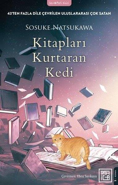 Sosuke NatsukawaDünya RomanKitapları Kurtaran Kedi