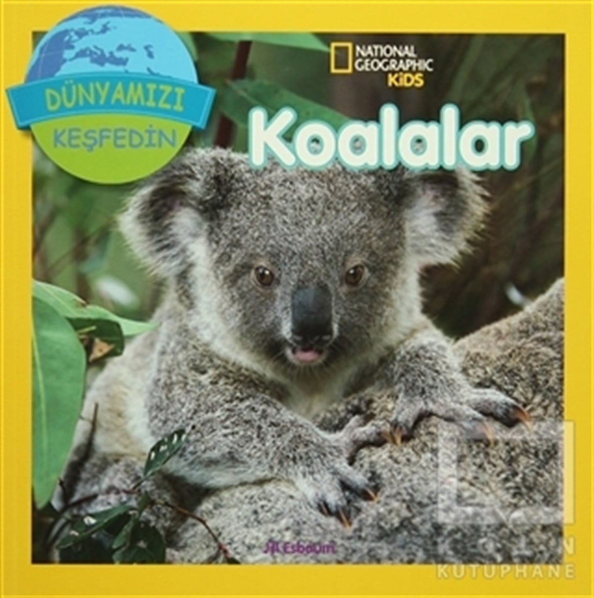 Koalalar - Dünyamızı Keşfedin