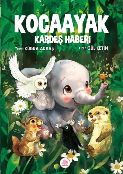 Kübra AkbaşÇocuk Gençlik RomanlarıKocaayak Kardeş Haberi