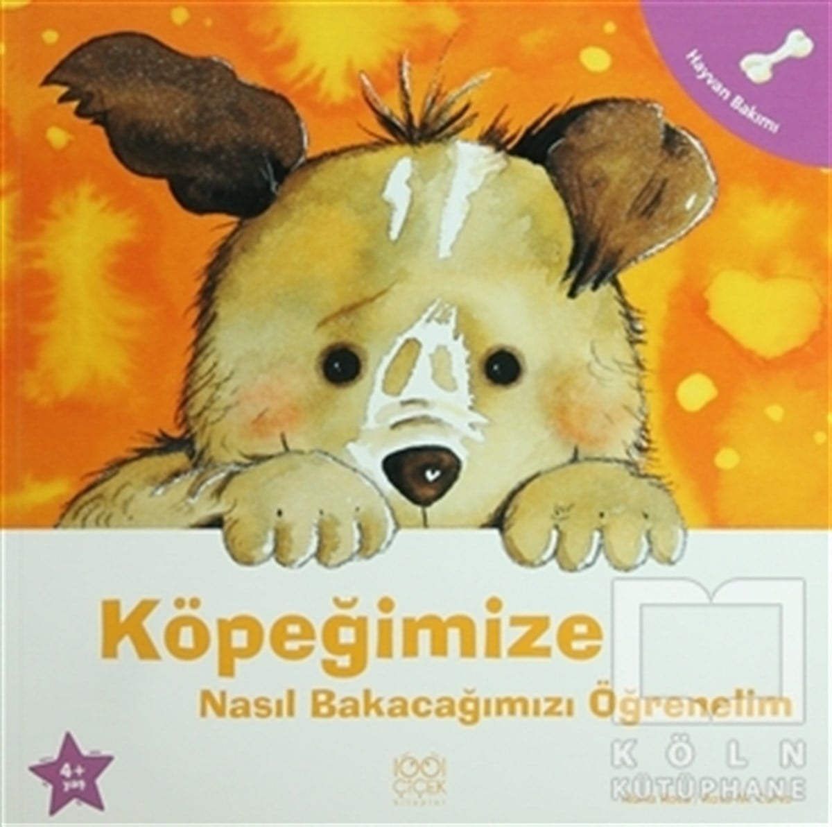Nuria RocaHikayelerKöpeğimize Nasıl Bakacağımızı Öğrenelim