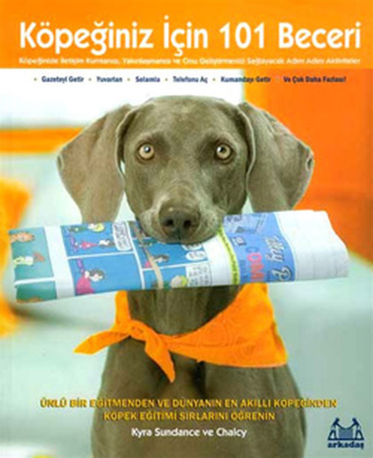 Kyra SundanceTierpflege BücherKöpeğiniz İçin 101 Beceri - Adım Adım Aktiviteler