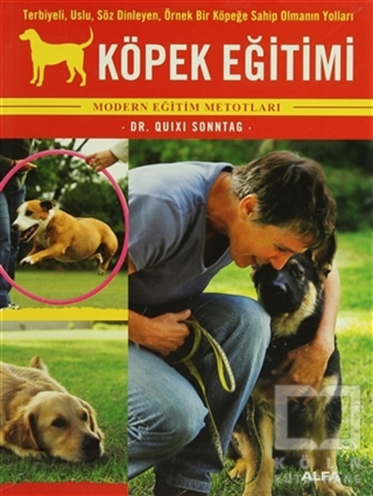 Köpek Eğitimi