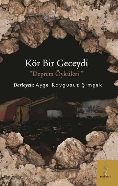 KolektifHikaye (Öykü) KitaplarıKör Bir Geceydi - Deprem Öyküleri