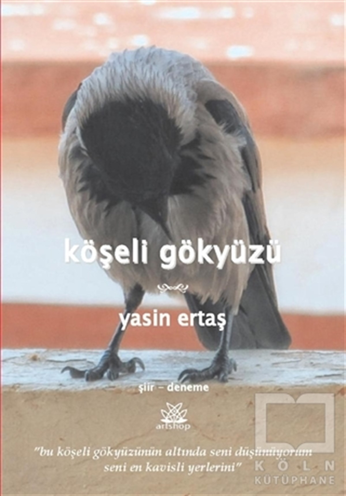 Yasin ErtaşŞiirKöşeli Gökyüzü