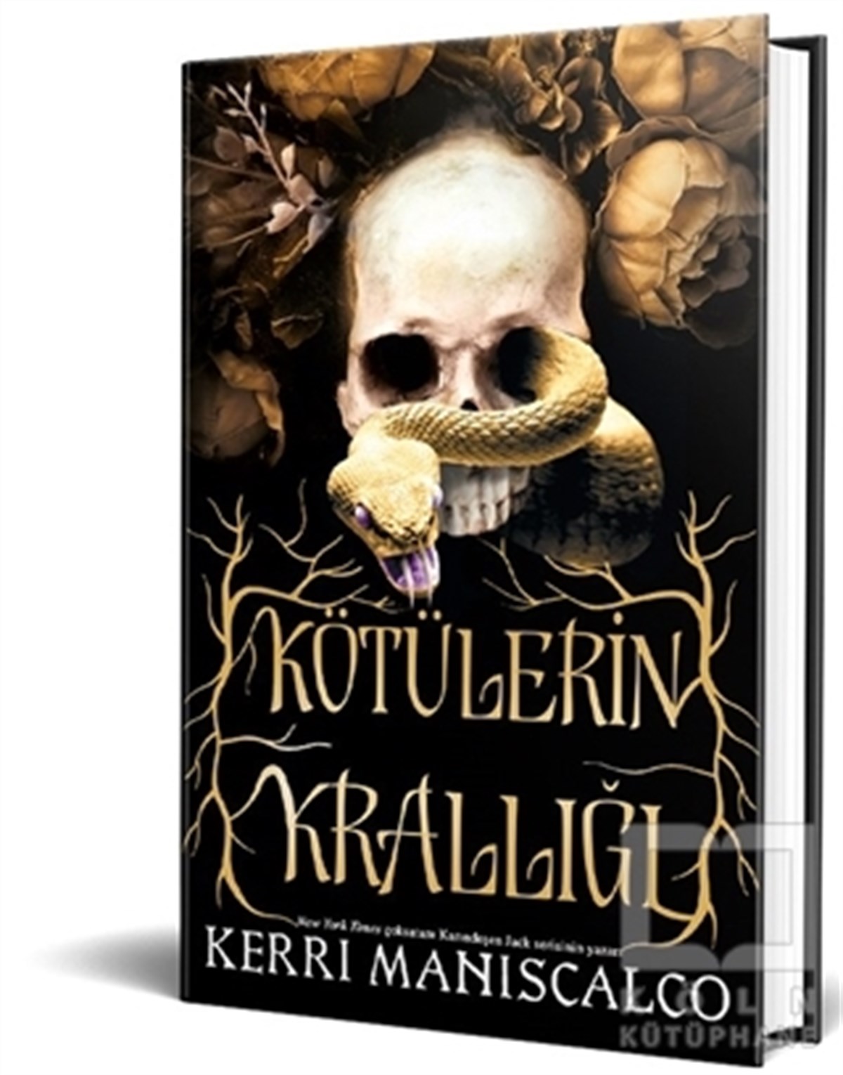 Kerri ManiscalcoTürkçe RomanlarKötülerin Krallığı (Ciltli)