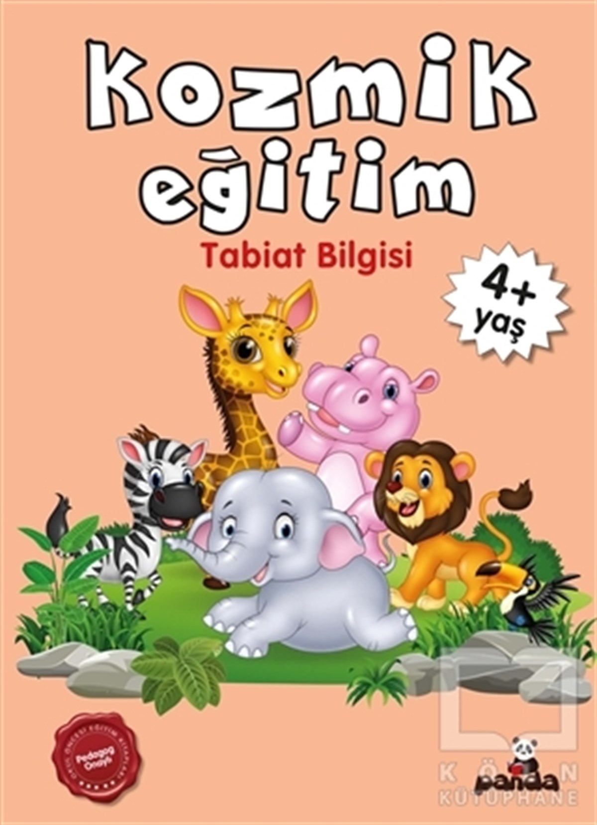 Afife ÇorukOkul Öncesi Çocuk KitaplarıKozmik Eğitim +4 Yaş