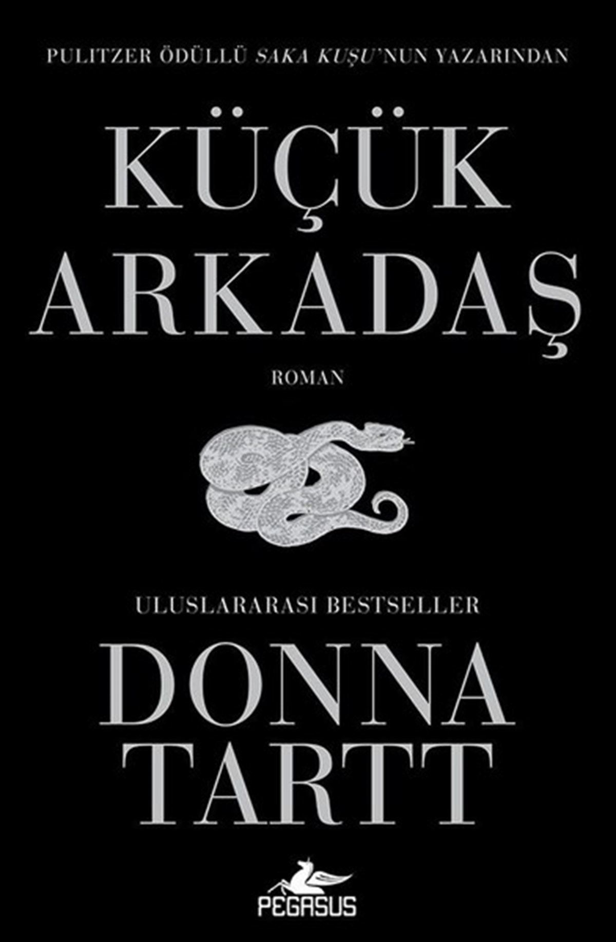 Merve Sevtap IlgınDünya RomanKüçük Arkadaş