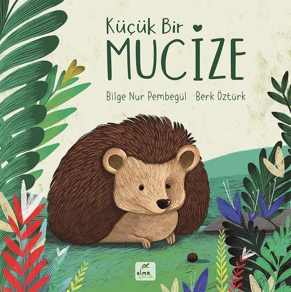Bilge Nur PembegülEgitim Etkinlik KitaplariKüçük Bir Mucize